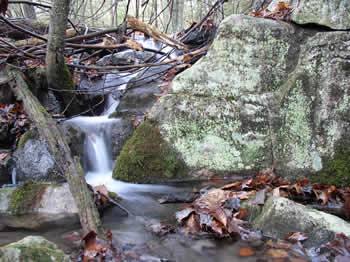 Sterling Forest Brook