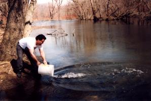 Stocking a stream